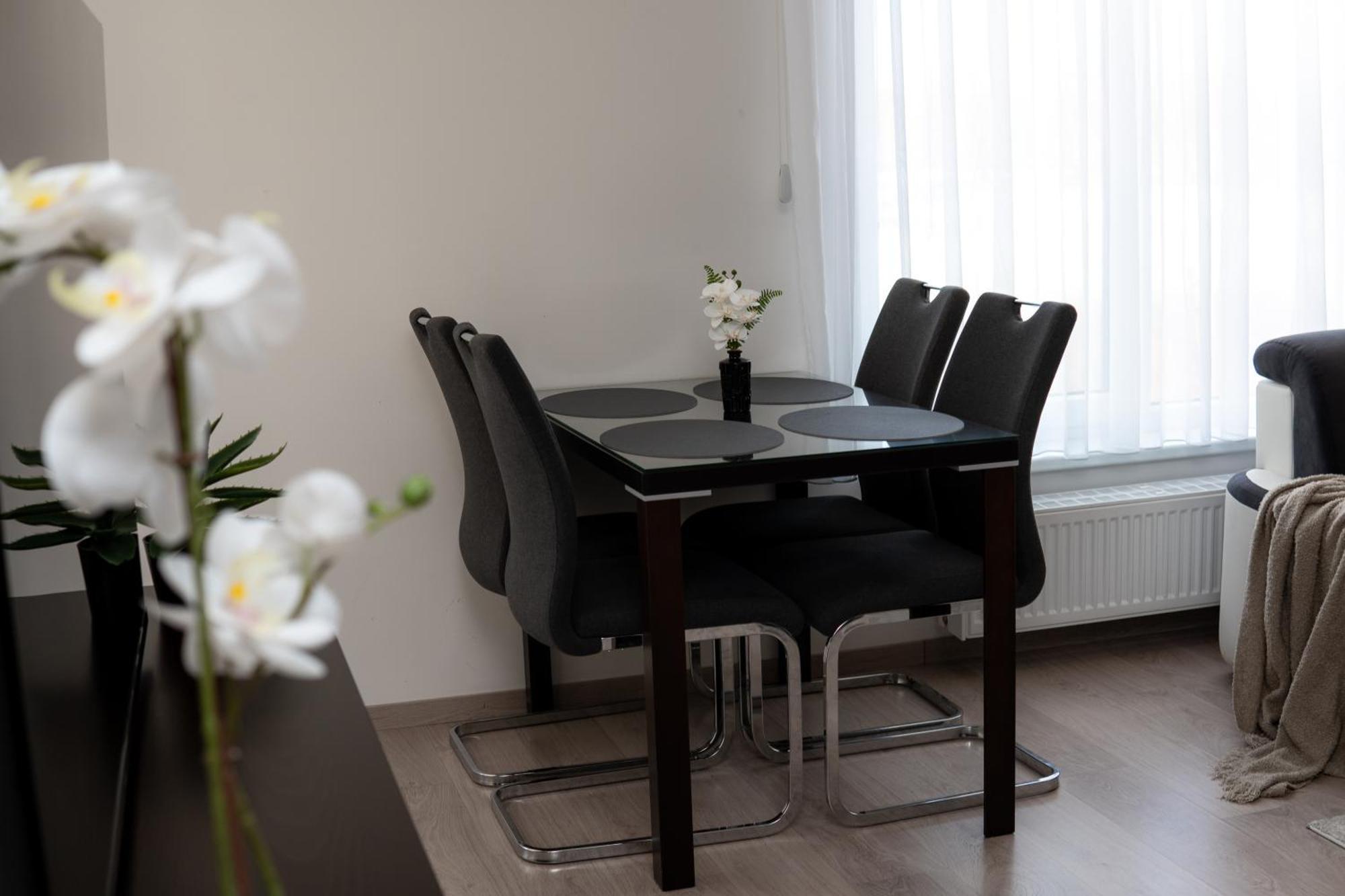 Bnb New Beautiful Apartment In The Center Of Ostrava With Option Garage Parking Eksteriør bilde